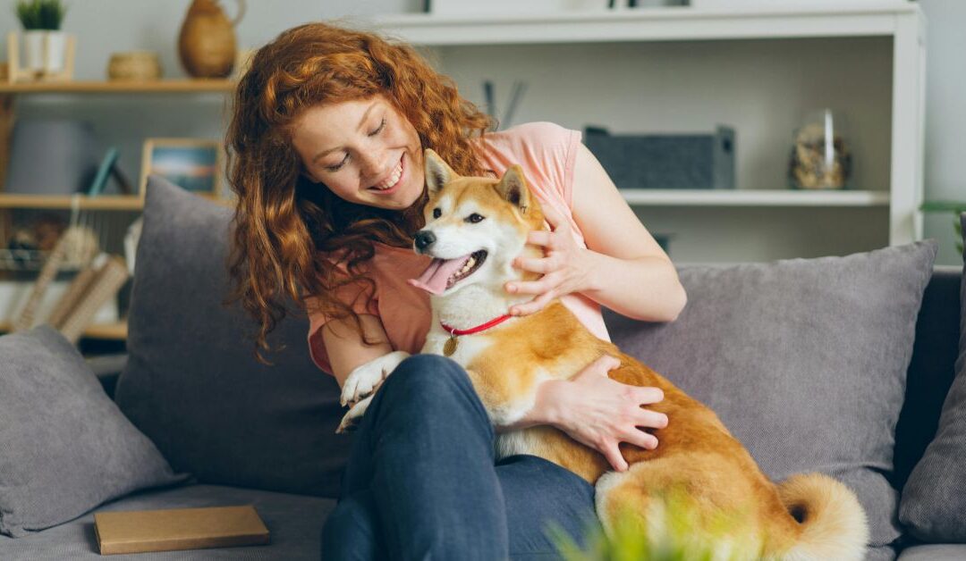 Pet Apparel & Accessories: How to Keep Your Pet Stylish, Safe, and Comfortable